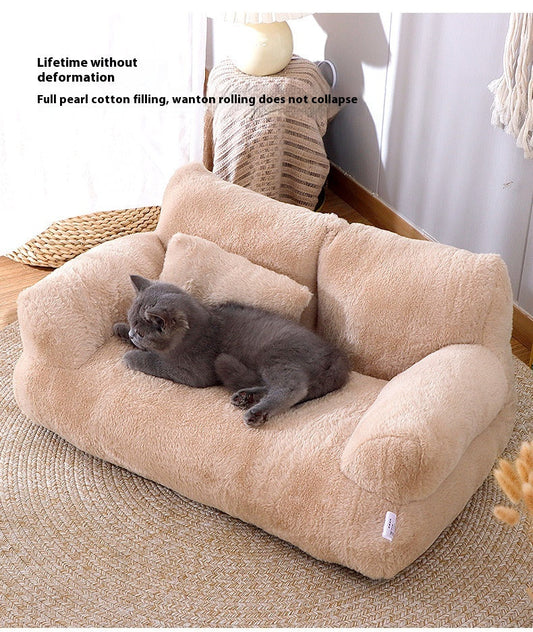 The Top 10 Ways to Keep Your Cat Happy and Healthy