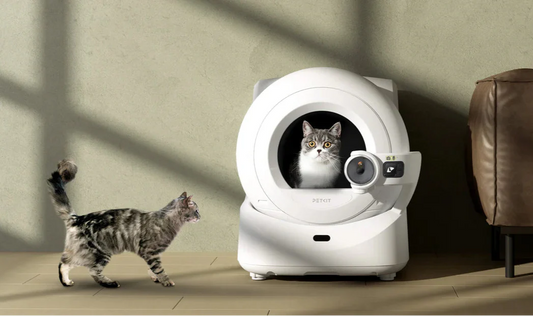 2025's Must - Have Smart Pet Supplies: A Revelation for Pet Owners!